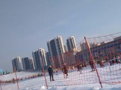 -沈阳奥体冰雪嘉年华