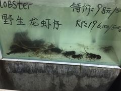 -海盗餐厅