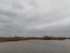 -盐城丹顶鹤湿地生态旅游区