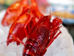 -新荣记(BFC外滩金融中心店)