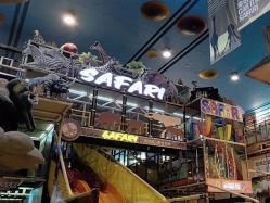 -卡通尼·Safari非洲探索乐园·生日会(金桥国际商业广场店)