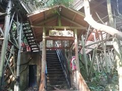 -天门沟九州驿站树上汤泉
