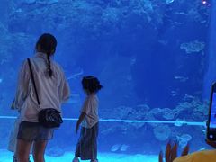 -邯郸海洋世界
