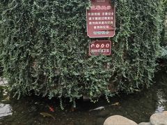 -金稼园·金平湖农家菜