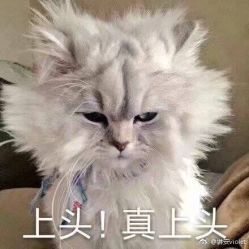 点击看大图 -丫丫NAIL日式自助美甲美睫沙龙