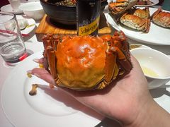 -嘉宴·精致客家菜