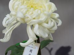 -共青国家森林公园-售票处