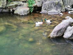 -白马涧龙池景区