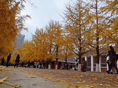 -辽宁大学(崇山校区)
