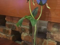 -杯子红牛排(西樵店)