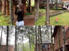 -洛阳白云山景区