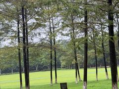 -宜兴龙背山森林公园