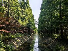 -东平国家森林公园