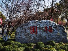 -上海海湾国家森林公园