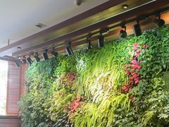 -泽云梵莲花足浴 按摩 SPA(滨湖店)