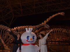 -世界恐龙谷景区