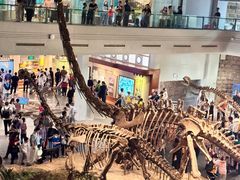 -自贡恐龙博物馆