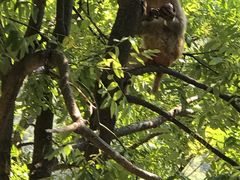 景点-云台山风景名胜区