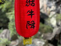 -石台牯牛降景区