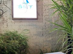 -春树下·树屋花房西餐厅(罍街AS1980店)