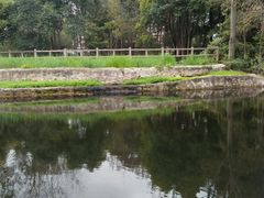 -成都市活水公园