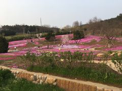-棒棰岛宾馆景区