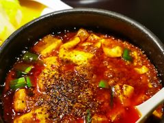 -陈麻婆豆腐总店