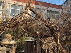 -斯多格书乡(北京大学畅春园店)