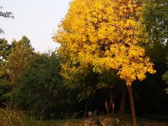 -北坞公园