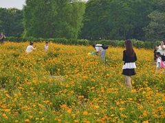 -长广溪湿地公园