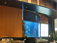 -炉角·鲍鱼牛腩煲(国贸商城店)