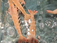 -龙宴海鲜城(经中路店)