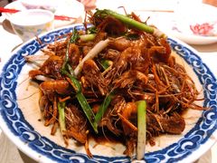 杭州老头儿油爆虾河虾-老头儿油爆虾·三潭印月