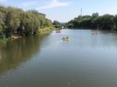 -溱湖国家湿地公园