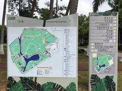 -万绿园