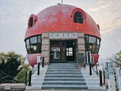 -信号山公园