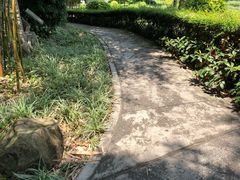 -晓港公园