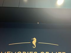 -海马体照相馆(上海晶耀前滩店)