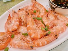 长毛虾-金海湾海鲜排档(朱家尖店)