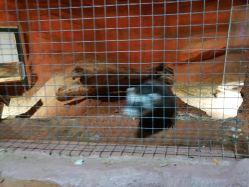 -酷嗒动物文化乐园(cutezoo西溪乐天城店)