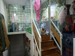 -读宠于你·约克夏比熊·睫角守宫·爬宠售卖(高新店)