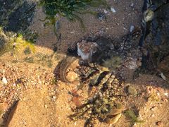 -青岛第三海水浴场