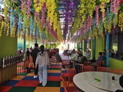 -马白开来特色羊排揪片子  (总店)