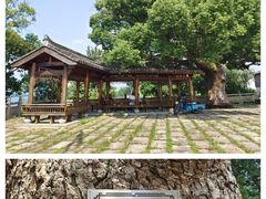 -东梓关景区村庄