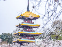 -东湖磨山景区