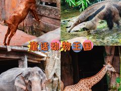 -长鹿旅游休博园