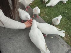 -人民广场