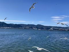 -海埂大坝