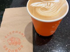 -Elephant Grounds(STARSTREET)