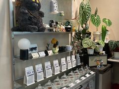 -Dogi&kiki Coffee(中心商务大厦店)